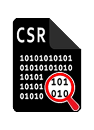 CSR decode icon