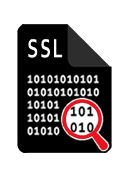 SSL decoder icon